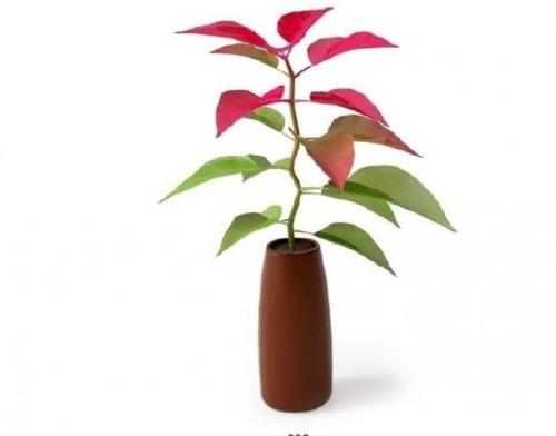 ÕþÎñ·þÎñÔõôÑù£¿¡°ºÃ²îÆÀ¡±µÈÄãÀ´ÆÀ