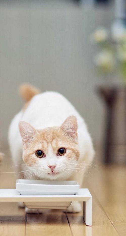 ձһ뾳߸ȾϷǳֵı¹ڲ