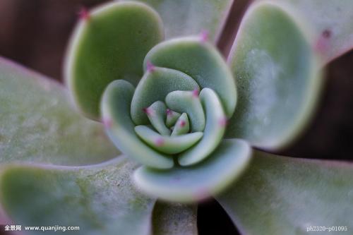 ¹Ê¹¬²©ÎïÔºÉî¸ûµÄÄêÇáÈË:ÉÏÎݶ¥¡¢Ï¿ⷿ¡¢ÐÞÎÄÎï