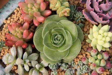 ҳܰ,ʦ͵͵ڿ ϸλǩЭ飿