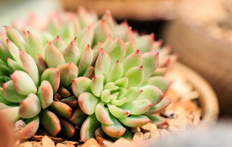 ÉòÑô1ÀýÎÞ֢״תȷÕï ϵ´Ëǰ¾³ÍâÊäÈ벡ÀýÃܽÓÕß