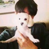 ºþ±±ÏåÑôÒ»Åú´ÎÀä¶³ÉúÄÏÃÀ°×ϺÍâ°ü×°³ÊÈõÑôÐÔ