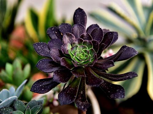 ֯ȫۼ¹ȷﲡ79673754